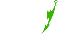 INSKINS